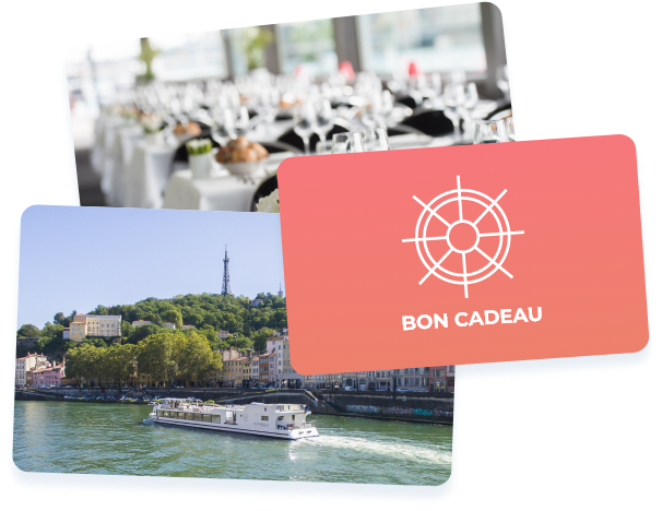  bons cadeaux bateaux lyonnais 